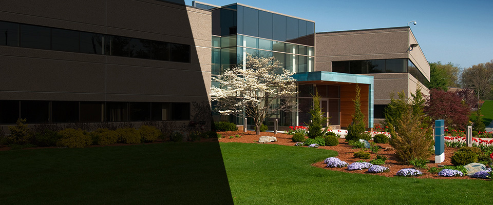 Wesley Chapel Landscapers