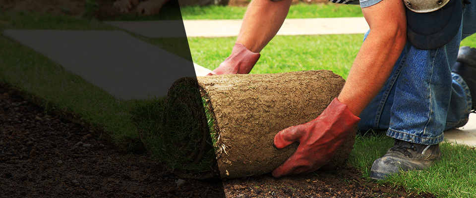 Wesley Chapel Landscapers